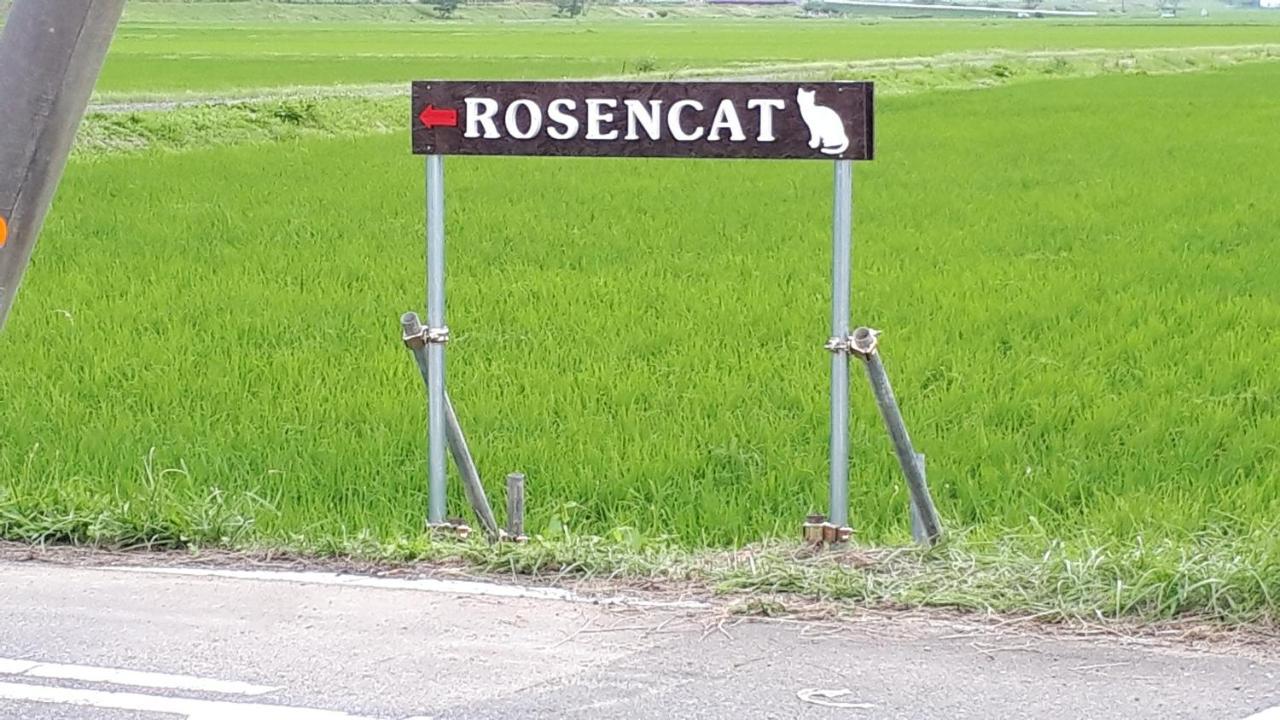 Rosencat Villa Sado Exteriör bild